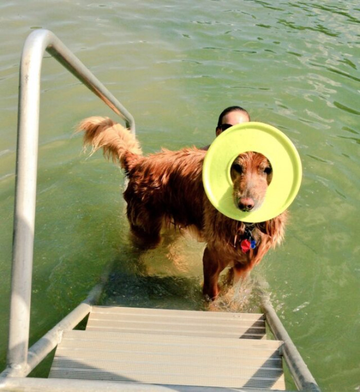 22. “Finley + frisbee = Saturn dog.”