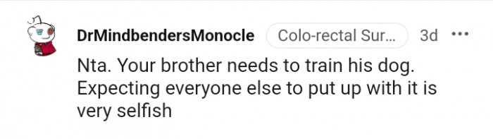 Your Brother Should Train His Dog