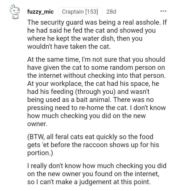 There was no pressing need to rehome the cat