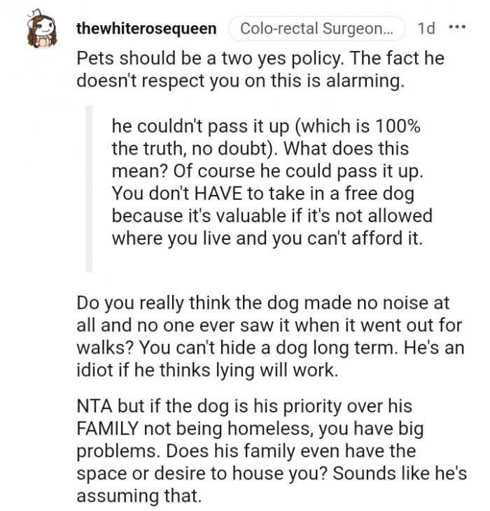 8. You can't hide a dog for a long time