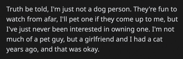 OP is not particularly fond of pets, but he's okay with having one