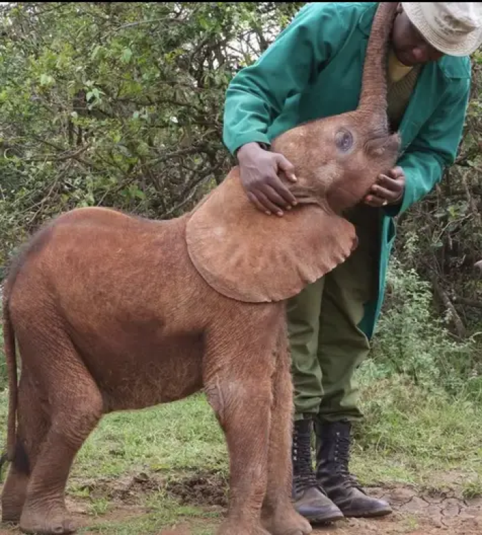 We've all been in a situation or heard of a situation where a kid just doesn't seem to want to go to sleep at all.