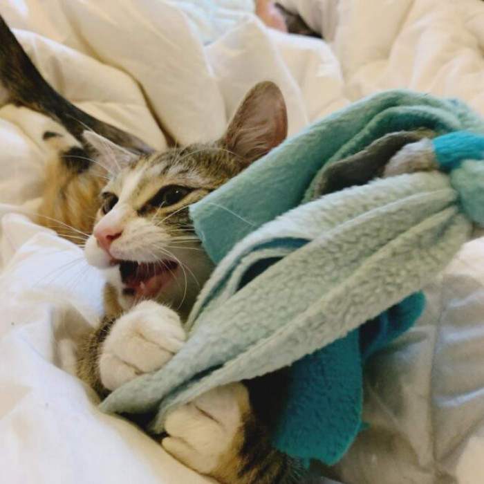 Sometimes She Even Lets Me Sleep on My Pillows,” Dave Says