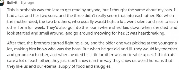 2. The brothers started fighting a lot