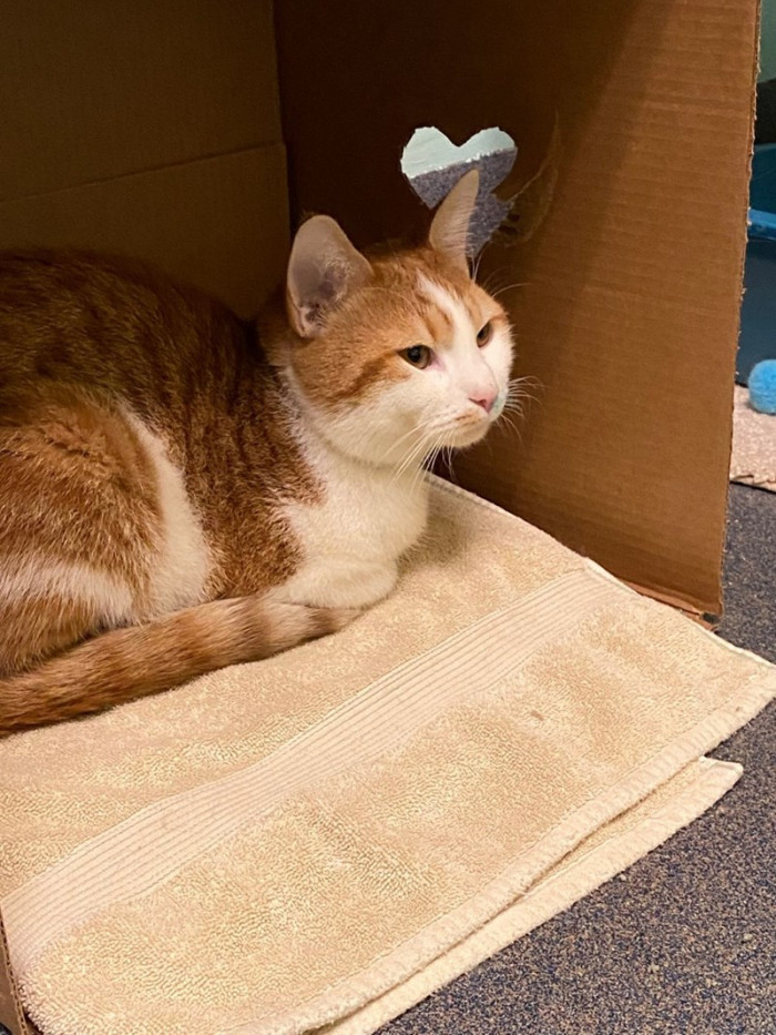 Wild Bill says hello...