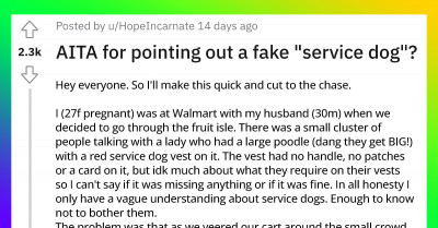 Pregnant Woman Points Out Fake Service Dog After His Owner Accused Her Of Distracting Him