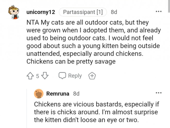 Such a young kitten should not be outside unattended