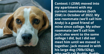 Guy Complains About Roommate's Dog and Says That He Isn't Stepping Up to Control It