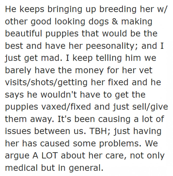 The Dog Has Been Causing Arguments Between the Couple.