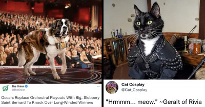 21 Funny Twitter Posts Featuring Everyone's Favorite Pets: Cats & Dogs