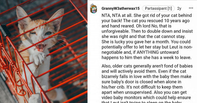 Man Gives Pregnant Daughter A Month To Pack Out After She Sent His Cat To A Shelter Without Informing Him
