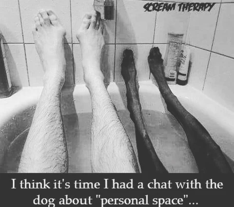 She needs to keep the child and the dog. She needs to keep those eyebrows too!