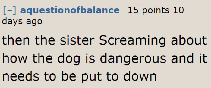 This Is What Will Happen If the Dog Ends Up Biting One of the Kids.