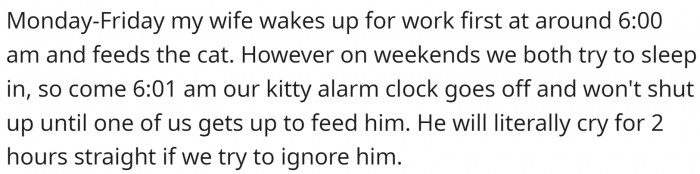 Workdays are not a problem because OP’s wife gets up early and feeds it. However, weekends are problematic