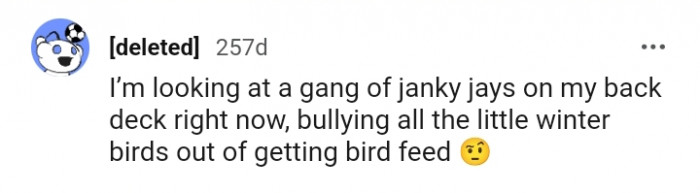 A gang of janky Jays on this Redditor's back deck