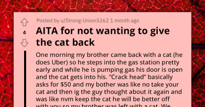 Redditor Updates Stray Cat's Chip Information After Being Tossed Around By Different Supposed Owners, Refuses To Give The Cat Back