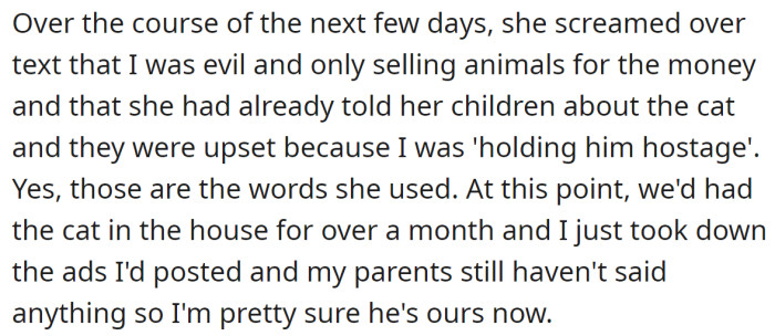 She even accused the OP of selling animals for money, and eventually, the OP decided to keep the cat: