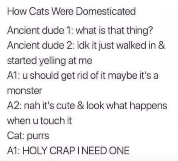 16. This is how everything began: