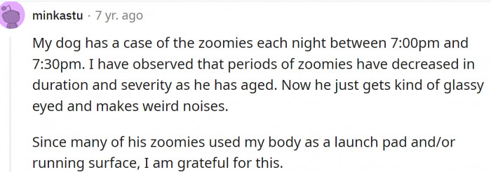 Many dogs get zoomies regularly, not just after baths