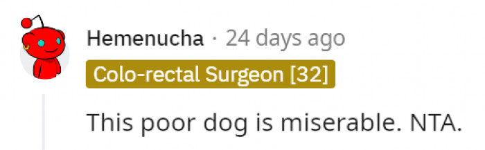2. The poor dog isn't to blame because it's life is miserable in its situation