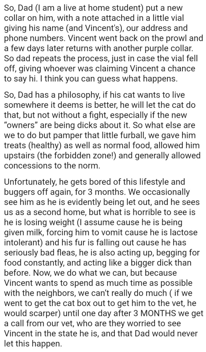 OP felt it was pertinent to mention that the cat had a black collar, and a sturdy one as well