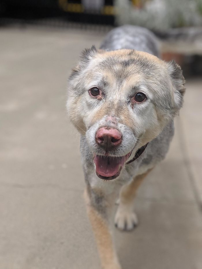 31. “Our 14-Year-Old Girl, Still Smiling”