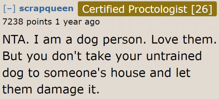 We simply don't understand what this guy is thinking when he brought his untrained dogs to his girlfriend's home.