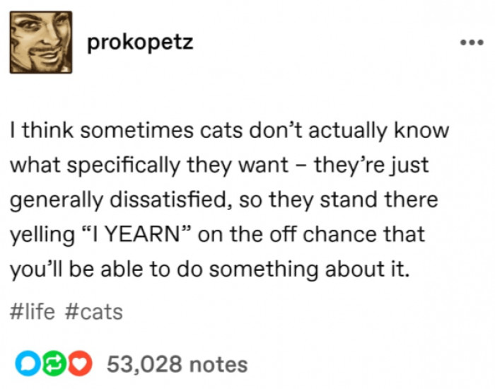 1. Maybe the problem is that cats feel anxiety because they want something, but they don't know what.
