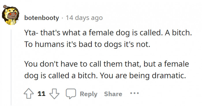 It is normal to call female dogs a bitch. And again–the “dramatic” comment.