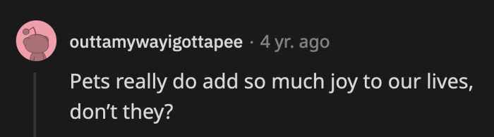 They Bring a Lot of Good Energy, for Sure!