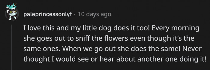 They might smell differently each day because of pollination, weather, and other factors!