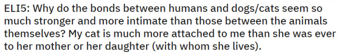 My cat is much more attached to me