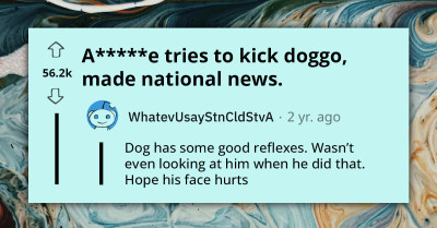 Man Attempts To Kick Harmless Doggo, Fails Miserably As He Lands On The Ground Instead