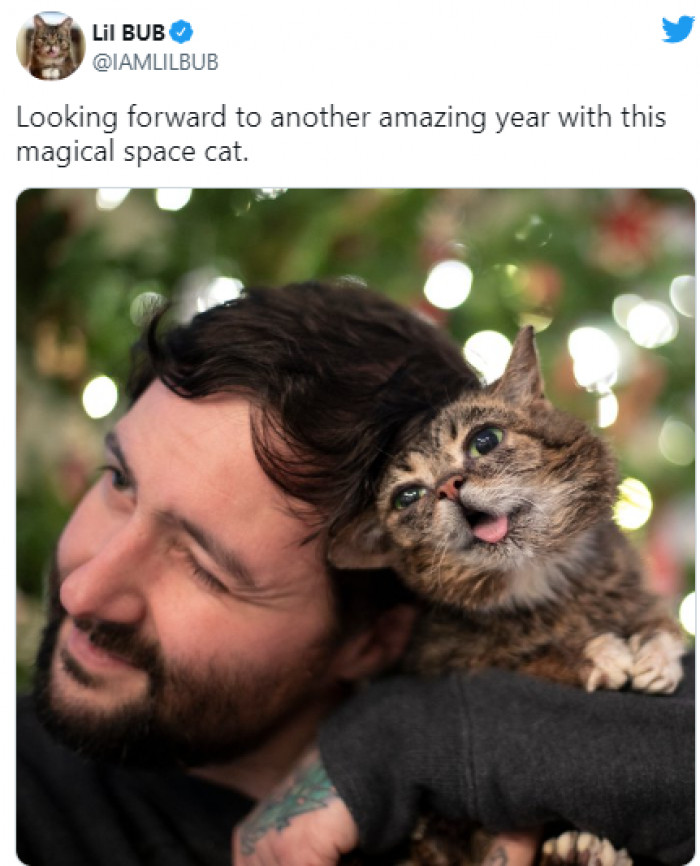 11. And Lil Bub wished everyone a very happy New Year!