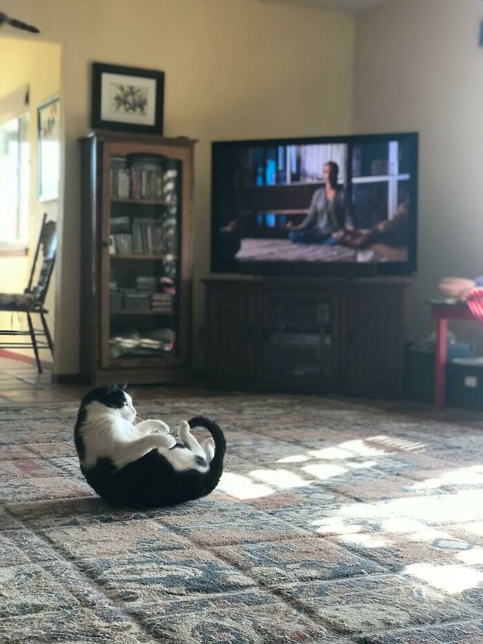 15. And In Through The Nose