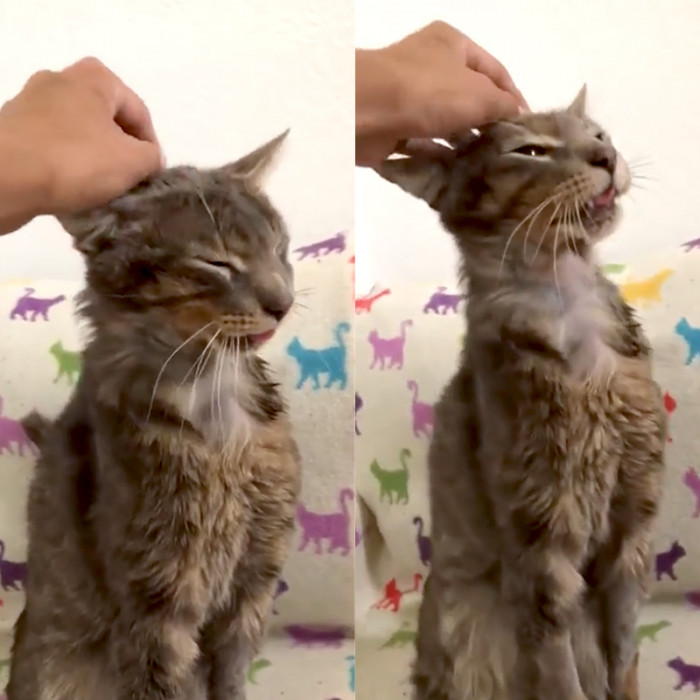 A Thoughtful Message