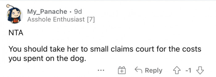 Smartphone screen showing Reddit thread text analyzing fairness and resource allocation in sister dog dispute