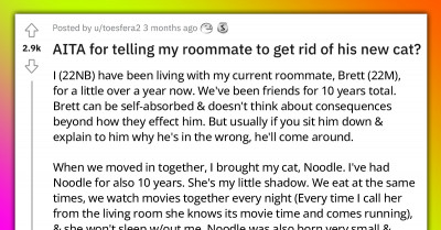 Redditor Tells Roommate To Get Rid Of His New Cat Because They Are Only Allowed One Pet Per Unit, Chaos Ensues