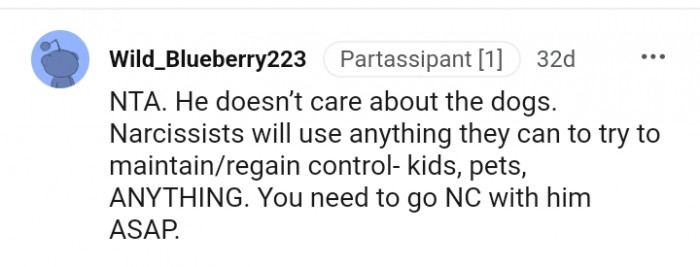 20. He does not care about the dogs