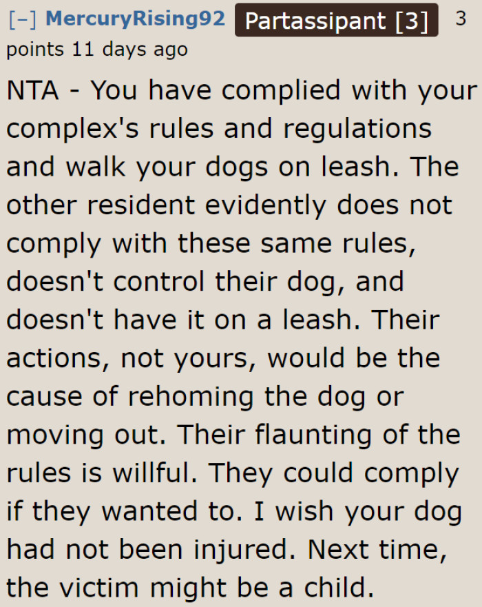 The dog could attack a child next time.