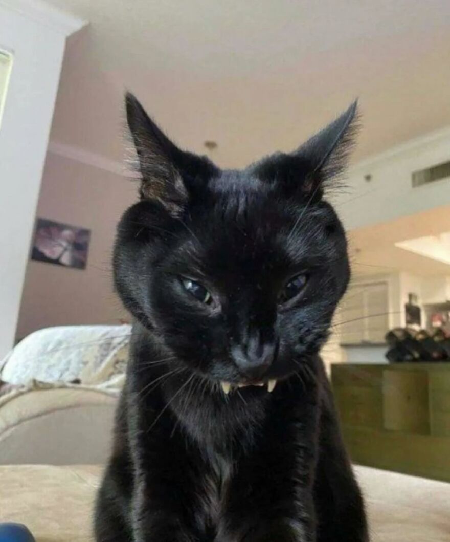 He doesn’t bite… unless it’s past dinner time.