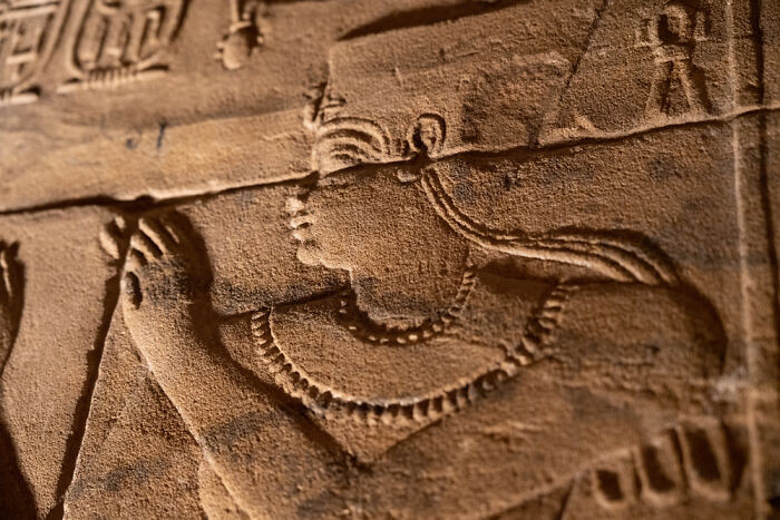 Runner Up, Young Tpoty 14 Years And Under: Zoe Wacker, USA (Age 12 )