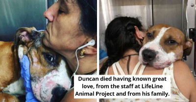 Duncan, A Shelter Dog With Body Scars Finds A Forever Home, Only To Die Shortly After