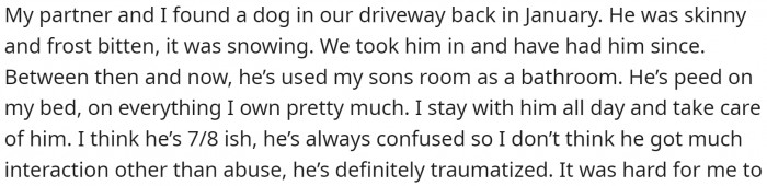 She and her husband found a stray dog and took it in