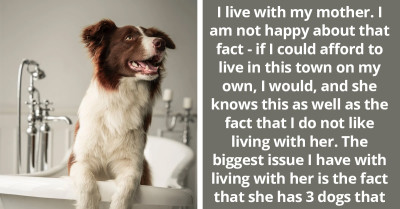 Redditor Is Going Nuts Living With Mother Who Doesn't Train Her Dogs, And Is Afraid Of Overreacting