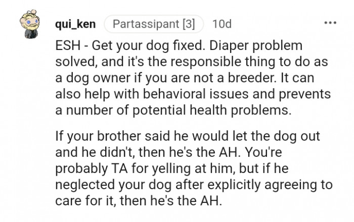 Your brother said he would walk the dog but he didn't