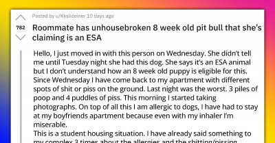 Student Gets A Roommate With An 8-Week-Old Untrained Puppy She’s Claiming Is An ESA