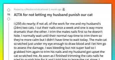 Woman Succeeds In Stopping Her Husband From Punishing The Cat For Scratching Her, Redditors React