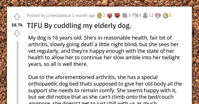 OP Shares How Their Elderly Dog Peed While Cuddling, And The Redditors Love This Wholesome Moment