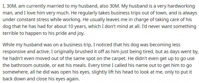 The Dog Was Becoming Less Responsive and Reactive During One of the OP's Husband's Business Trips, but He Didn't Think It Was Anything Serious